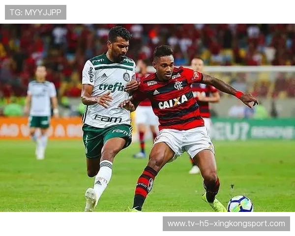 弗拉门戈新战略：以国内赛事为国际选拔的未来蓝图