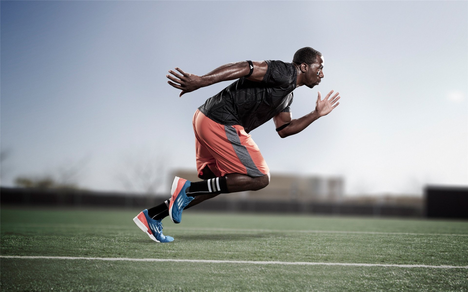 阿拉伯媒体赞新月“有担当”退出